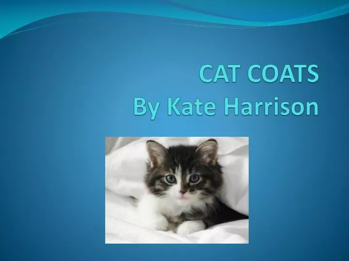cat coats by kate harrison
