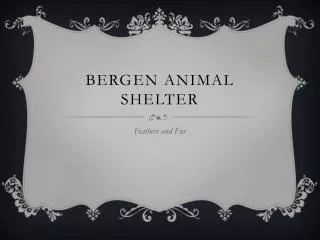 Bergen Animal Shelter