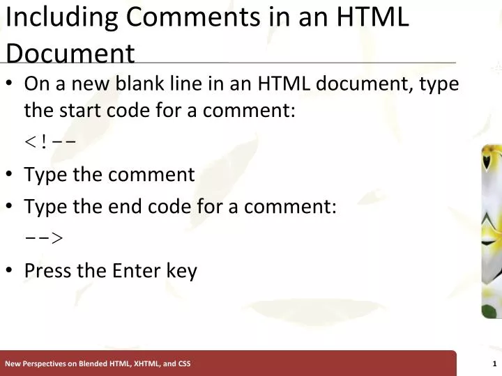 including comments in an html document