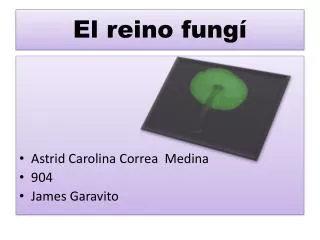 el reino fung