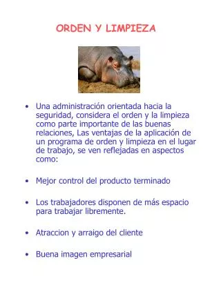 orden y limpieza