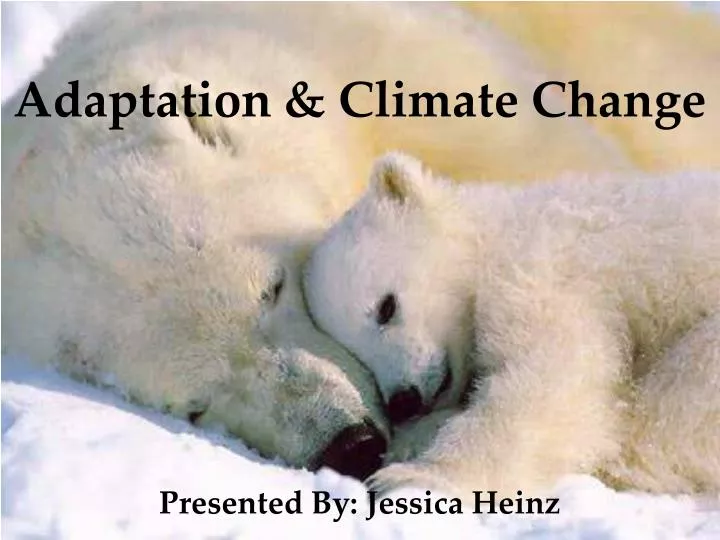 adaptation climate change