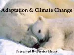 Adaptation &amp; Climate Change - slide 1