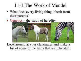 11-1 The Work of Mendel