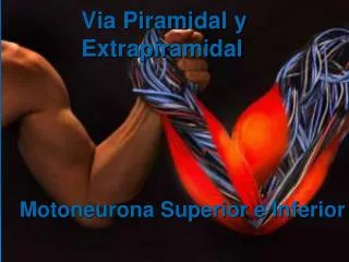 via piramidal y extrapiramidal