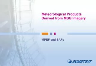 Meteorological Products Derived from MSG Imagery