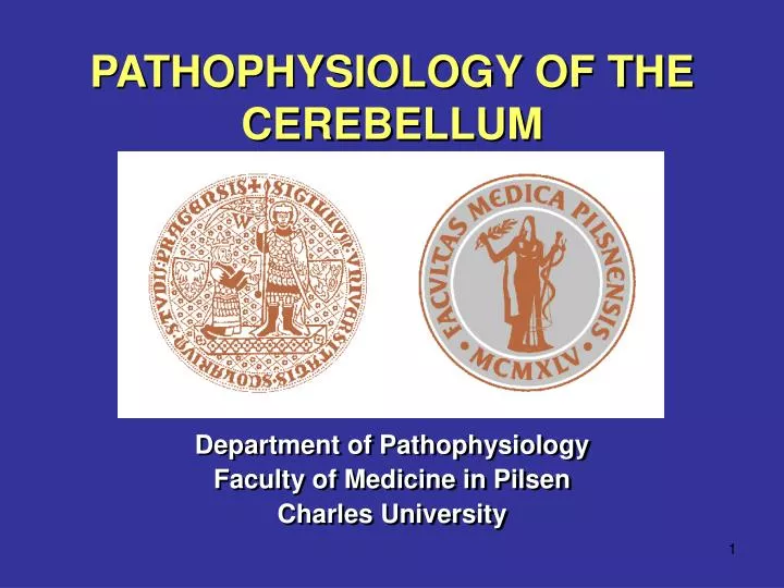 pathophysiology of the cerebellum