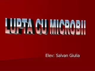elev salvan giulia