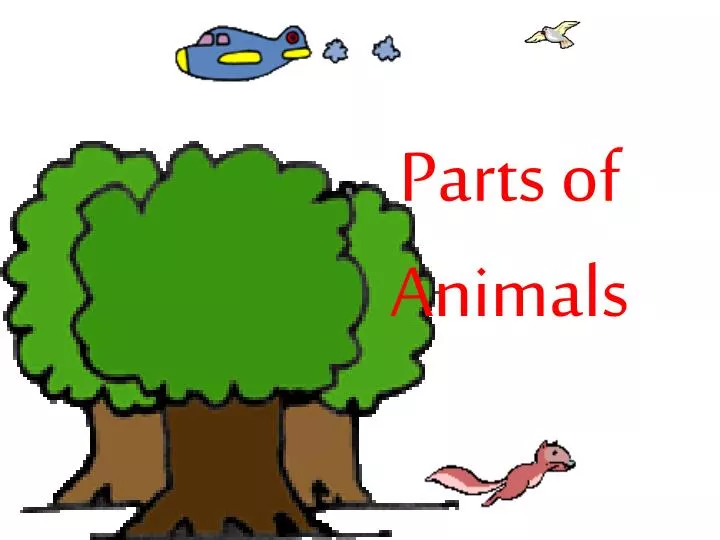 parts of animals