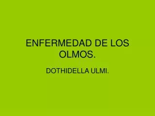 enfermedad de los olmos