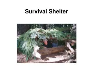 Survival Shelter