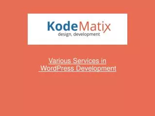 Various Services in WordPress-Development