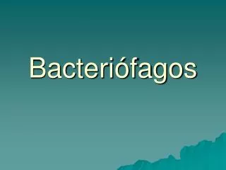 bacteri fagos