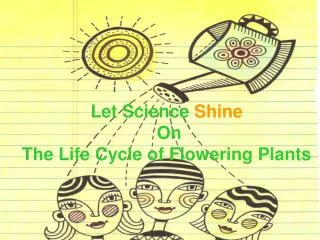 Let Science Shine On The Life Cycle of Flowering Plants