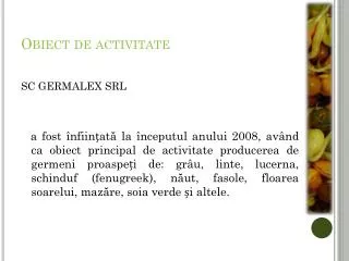 obiect de activitate