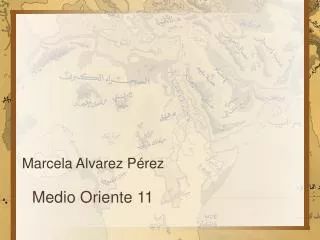 medio oriente 11