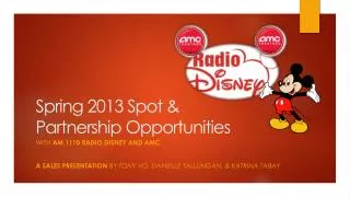 Spring 2013 Spot &amp; Partnership Opportunities