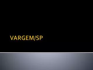 vargem sp