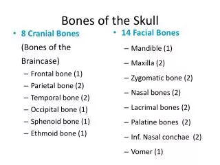 Bones of the Skull