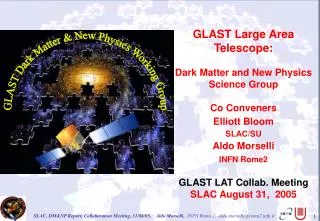 GLAST Large Area Telescope: Dark Matter and New Physics Science Group Co Conveners Elliott Bloom