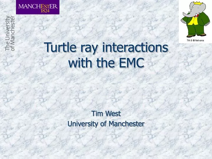 turtle ray interactions with the emc