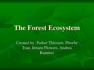 The Forest Ecosystem