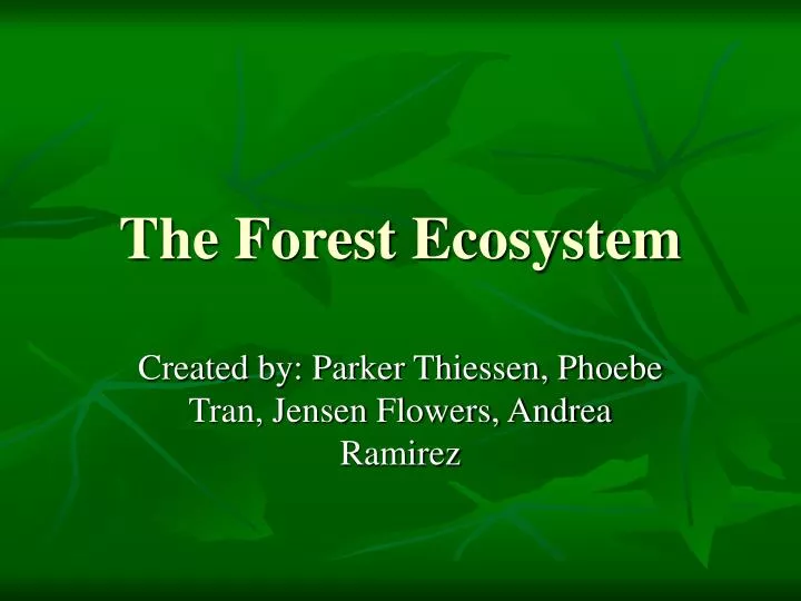 the forest ecosystem