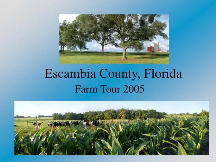 escambia county florida