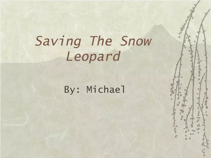 saving the snow leopard