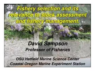 Fishery selection and its relevance to stock assessment and fishery management.