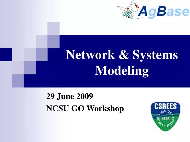 network systems modeling