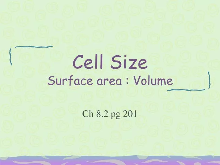 cell size surface area volume