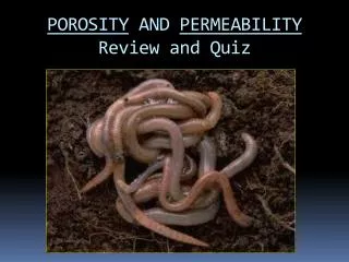 POROSITY AND PERMEABILITY Review and Quiz