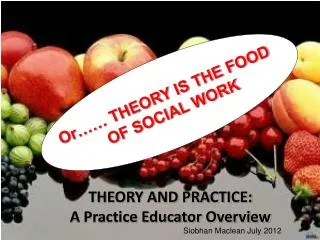 THEORY AND PRACTICE: A Practice Educator Overview