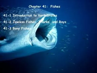 Chapter 41: Fishes