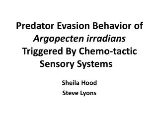 Predator Evasion Behavior of Argopecten irradians Triggered By Chemo-tactic Sensory Systems