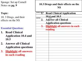 Sponge: Set up Cornell Notes on pg. 9 Topic: 10. 3 Drugs, and their effects on the NS