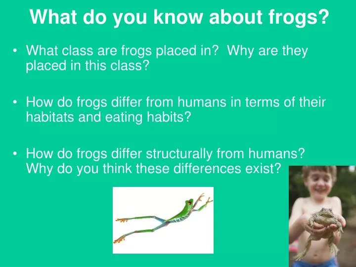 what do you know about frogs