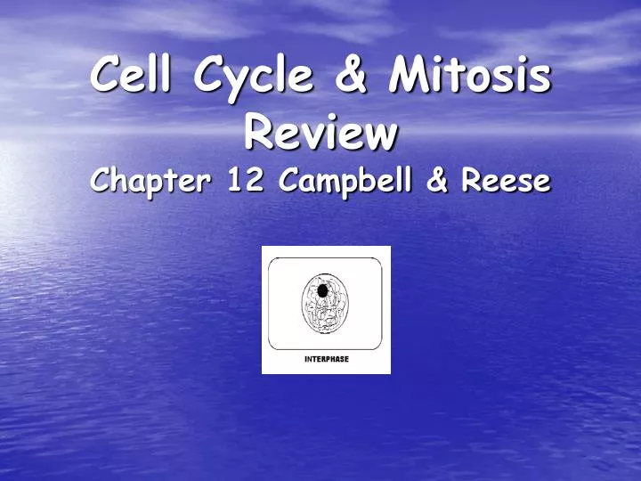 cell cycle mitosis review chapter 12 campbell reese