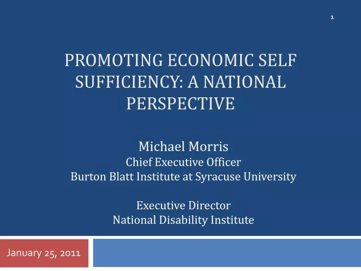promoting economic self sufficiency a national perspective