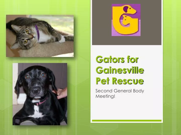 gators for gainesville pet rescue