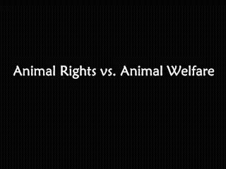 Animal Rights vs. Animal Welfare