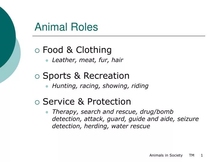 animal roles