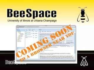 BeeSpace Project