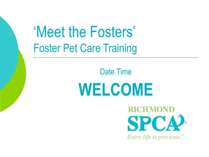 meet the fosters foster pet care training