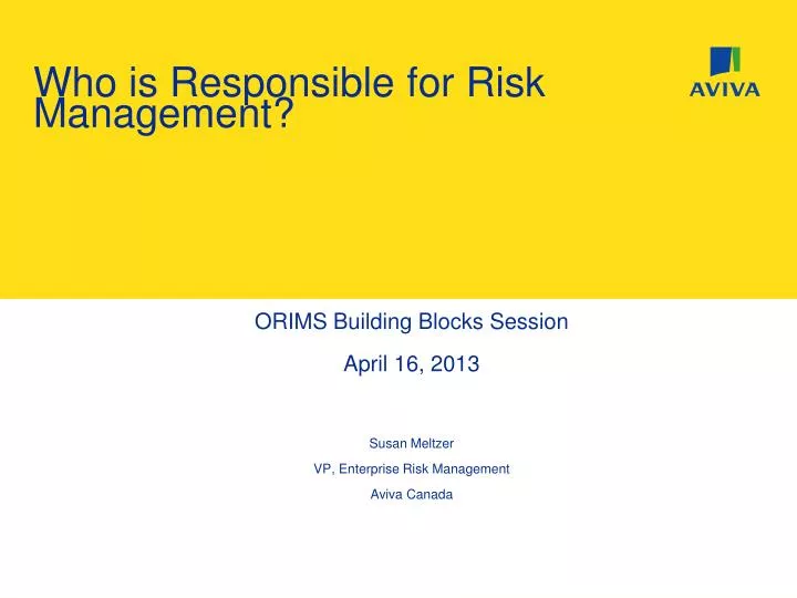 who is responsible for risk management