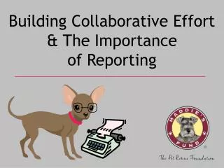 Building Collaborative Effort &amp; The Importance of Reporting