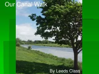 Our Canal Walk
