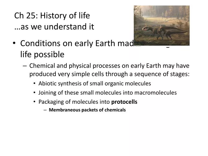 ch 25 history of life as we understand it
