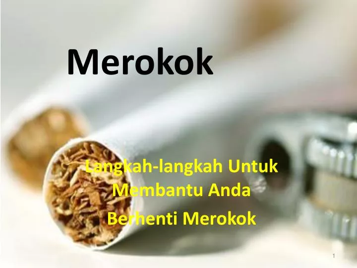 merokok
